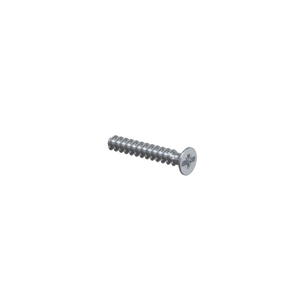 Kaiser 2472-20 Geräteschraube PlusMinus 3,2x20mm 100 Stück