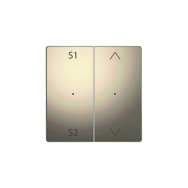 Merten MEG5227-6050 Wippe für Taster-Modul 2-fach (Szene1/2, Pfeile Auf/Ab) System Design nickel