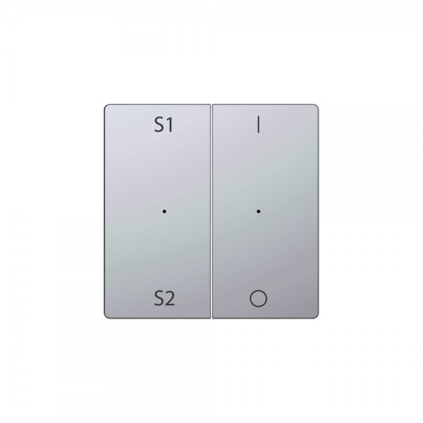 Merten MEG5228-6036 Wippe für Taster-Modul 2-fach (Szene1/2, 1/0) System Design edelstahl