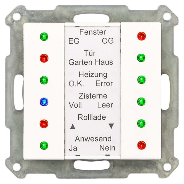 MDT technologies SCN-LED55.01 LED Anzeige 55 Reinweiß glänzend